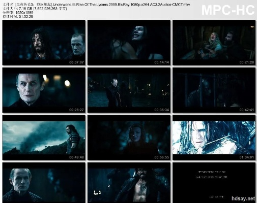 旅游精灵激活码使用跟单机版黑夜传说攻略,可靠数据解释定义&SE版_v9.752